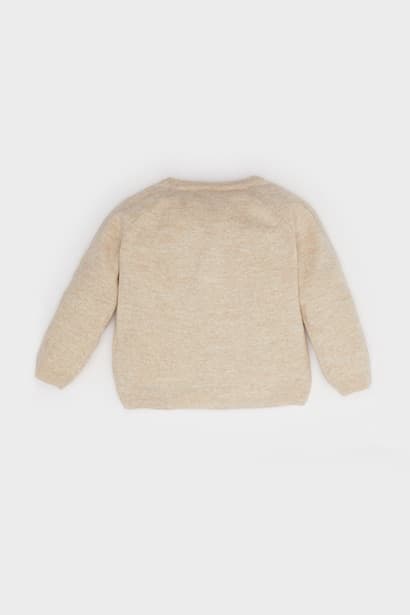 Baby Boy Regular Fit Crew Neck Cardigan (3)