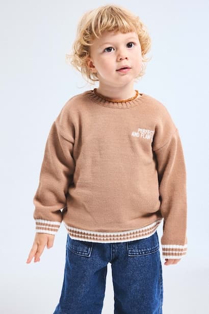 Boy Regular Fit Knit Pullover