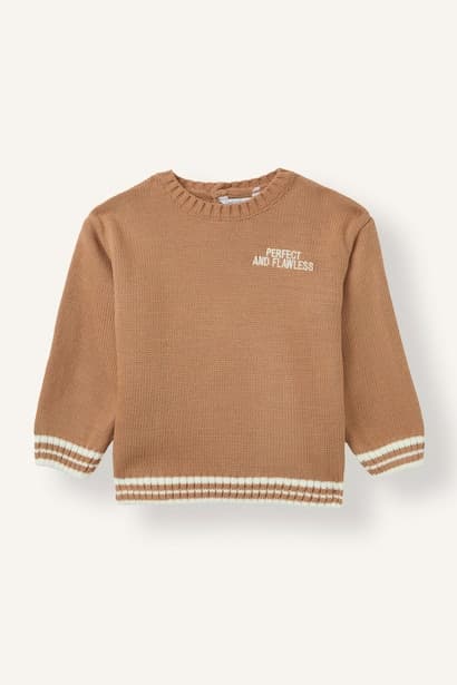 Boy Regular Fit Knit Pullover (3)
