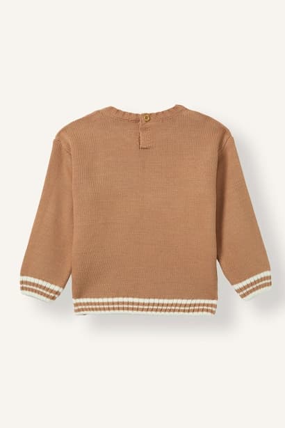 Boy Regular Fit Knit Pullover (4)