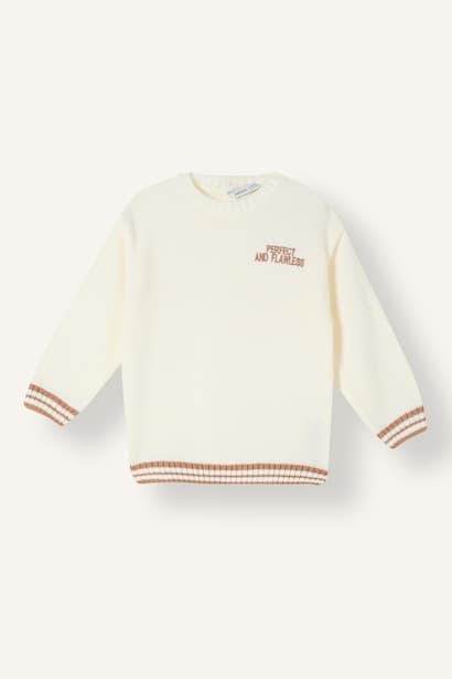 Boy Regular Fit Knit Pullover