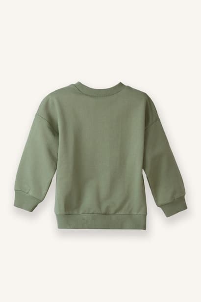 Baby Boy Regular Fit Crew Neck Sweatshirt (3)