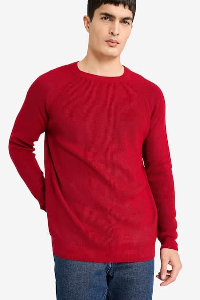 Standard Fit Crew Neck Knitwear Pullover (3)