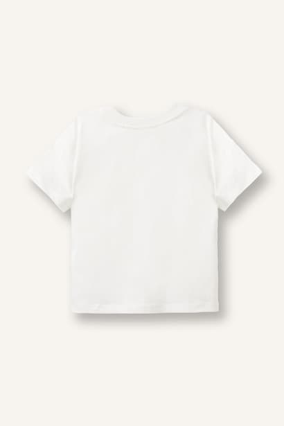 Boy Regular Fit 100% Cotton Crew Neck Short Sleeve T-Shirt (3)