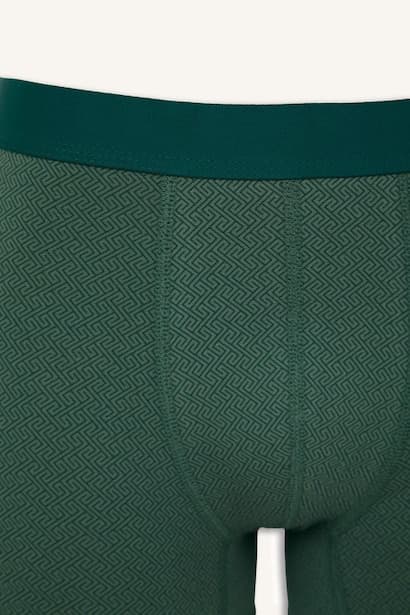 Regular Fit 3-Pack Patterned Boxers (4)