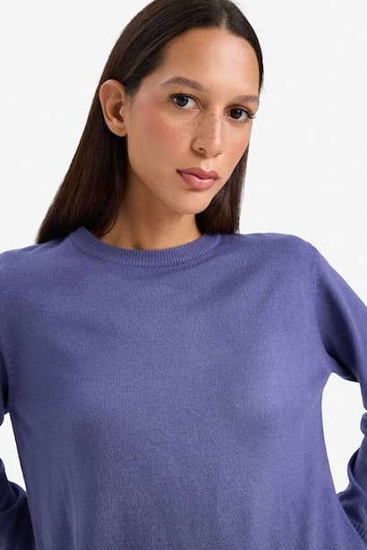 Relax Fit Crew Neck Knit Pullover (4)