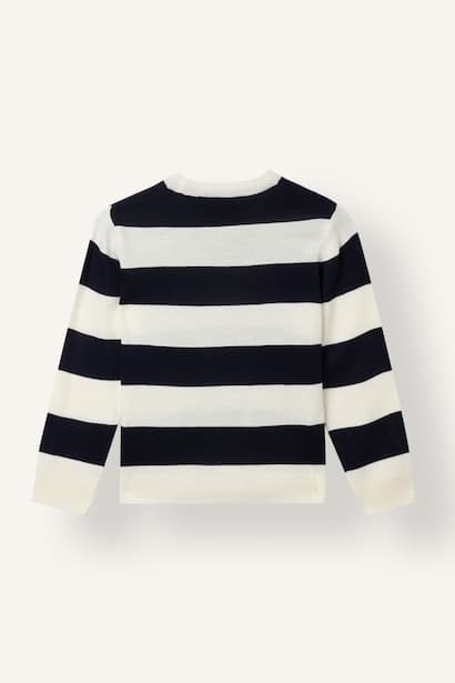 Boy Regular Fit Crew Neck Pullover (3)