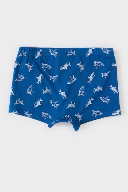 Boy Animal Patterned 3 Piece Boxers (3)