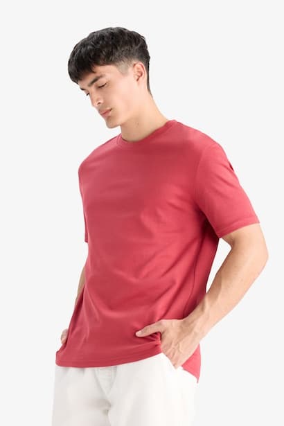 Regular Fit Crew Neck Short Sleeve T-Shirt (٣)