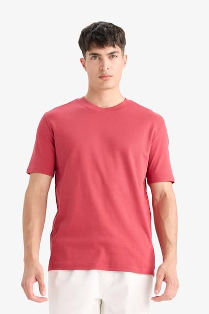 Regular Fit Crew Neck Short Sleeve T-Shirt (٤)