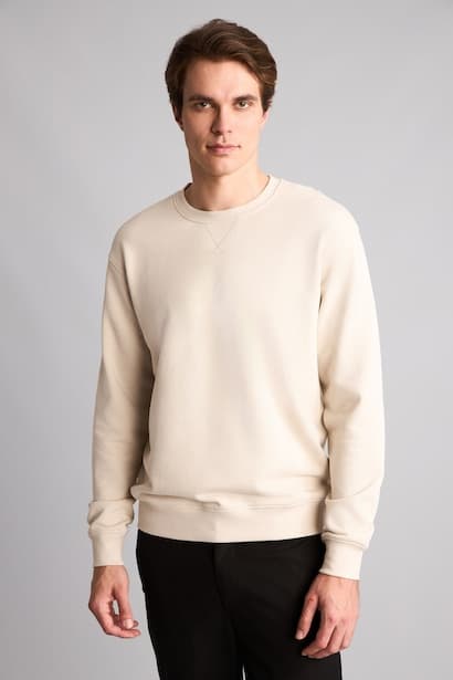 Cotton Regular Fit Basic Sweatshirt (٣)