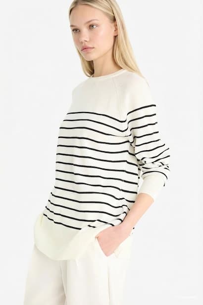 Regular Fit Crew Neck Striped Knit Pullover