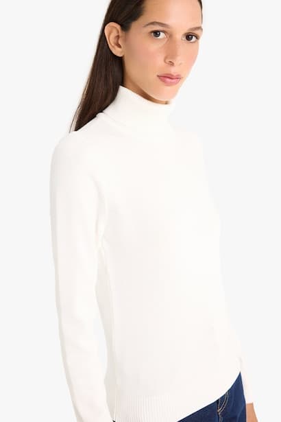 Regular Fit Half Turtleneck Pullover (٣)