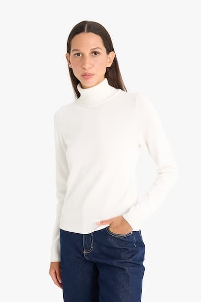 Regular Fit Half Turtleneck Pullover (٤)