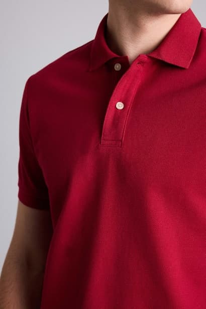 100% Cotton Regular Fit Polo T-Shirt (٤)