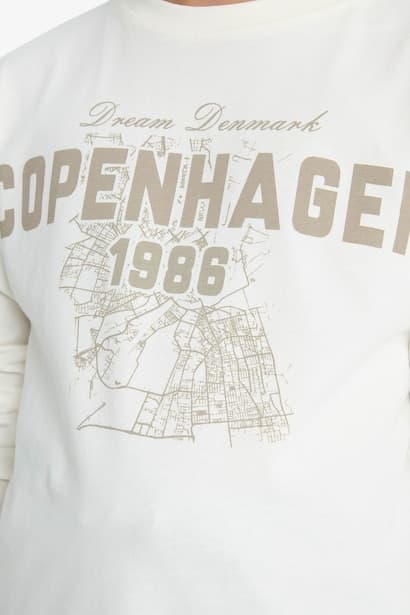 Boy Crew Neck Printed Long Sleeve T-Shirt (4)