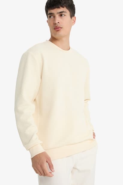 Regular Fit Long Sleeve Crew Neck Sweatshirt