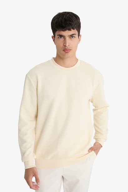 Regular Fit Long Sleeve Crew Neck Sweatshirt (٣)