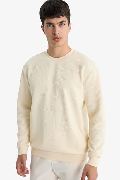 Regular Fit Long Sleeve Crew Neck Sweatshirt (٤)