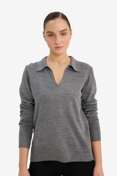 Regular Fit Polo Neck Knit Pullover