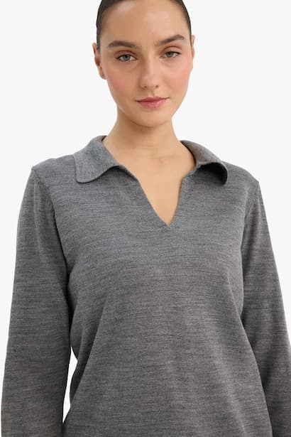Regular Fit Polo Neck Knit Pullover (٣)