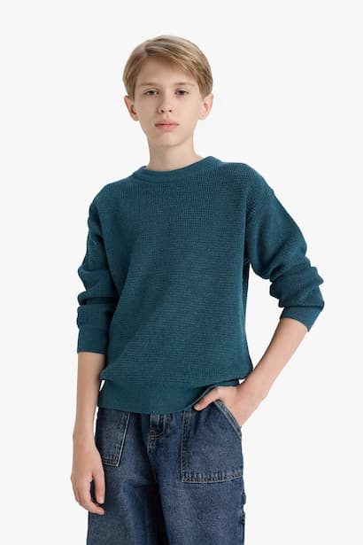 Boy Regular Fit Crew Neck Pullover (4)