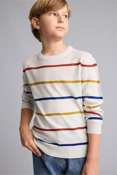 Boy Regular Fit Knit Pullover