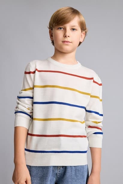 Boy Regular Fit Knit Pullover (3)