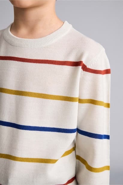 Boy Regular Fit Knit Pullover (4)