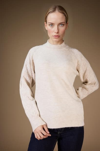 Regular Fit Crew Neck Knitwear Pullover Modest