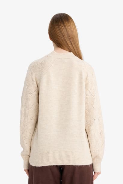 Regular Fit Crew Neck Knitwear Pullover Modest (4)