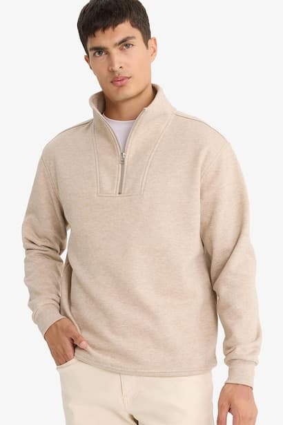 Regular Fit Stand Collar Half Zip-Up Sweatshirt