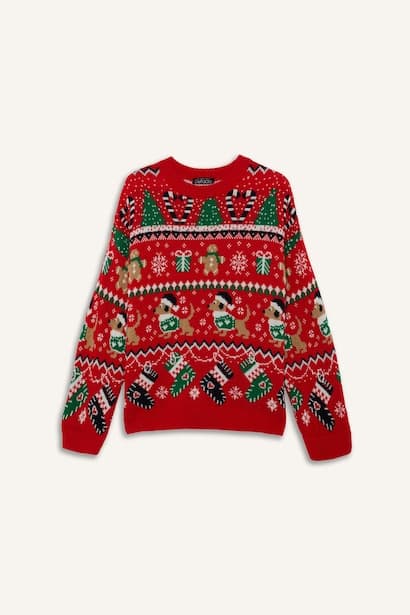 Regular Fit Crew Neck Christmas Pullover (3)