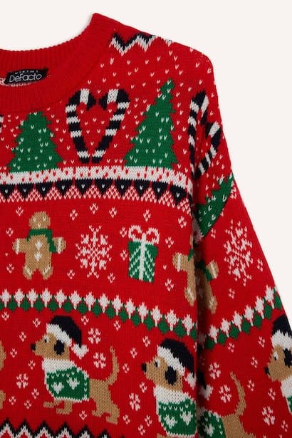Regular Fit Crew Neck Christmas Pullover (4)