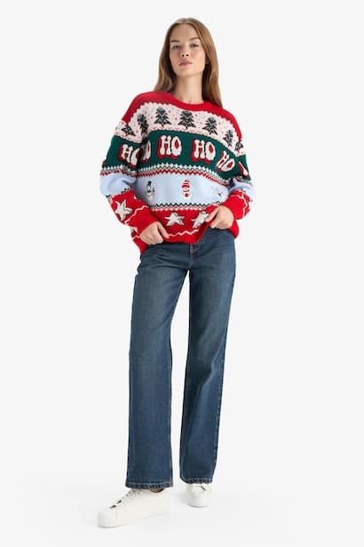 Regular Fit Crew Neck Christmas Pullover (4)