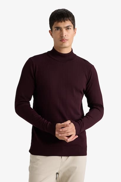 Standard Fit Turtleneck Knitwear Pullover (3)