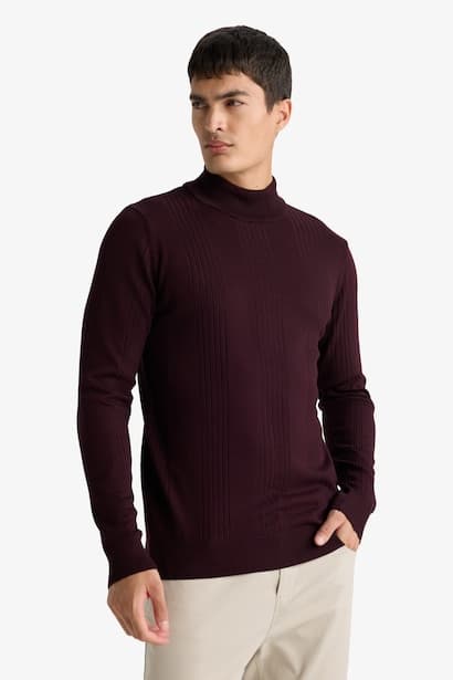 Standard Fit Turtleneck Knitwear Pullover (4)