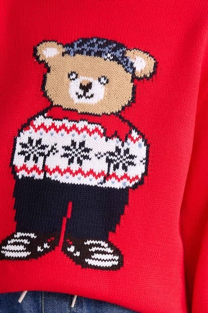 Boy Regular Fit Crew Neck Christmas Tricot Pullover (٣)