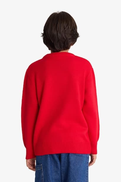 Boy Regular Fit Crew Neck Christmas Tricot Pullover (٤)