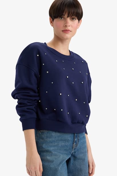 Boxy Fit Embroidered Long Sleeve Sweatshirt