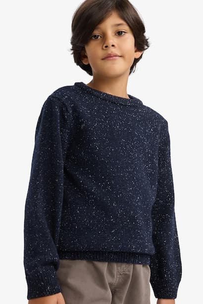 Boy Regular Fit Crew Neck Pullover (3)