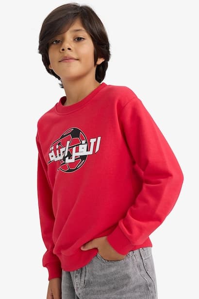Boy Crew Neck Back Printed Sweatshirt (3)