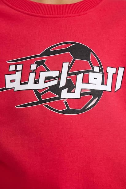 Boy Crew Neck Back Printed Sweatshirt (4)