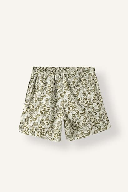 Regular Fit Mesh Lining Printed Swim Shorts (3)