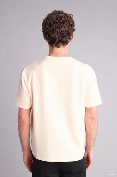 Regular Fit Short Sleeve T-Shirt (٤)