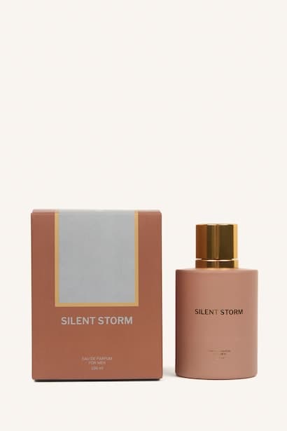 Man 100 ml Silent Storm Perfume (٣)