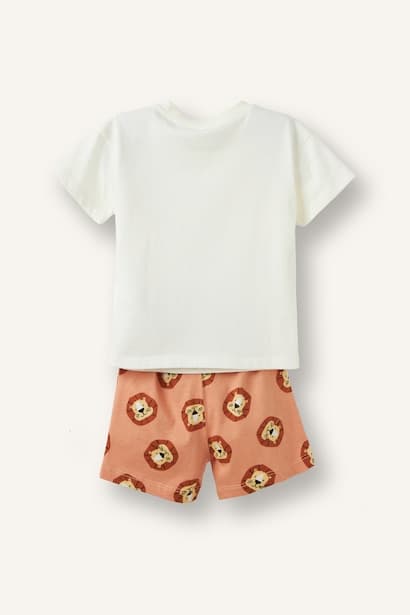 Baby Boy Lion Print T-Shirt Lion Pattern Shorts 2 Piece Set (4)
