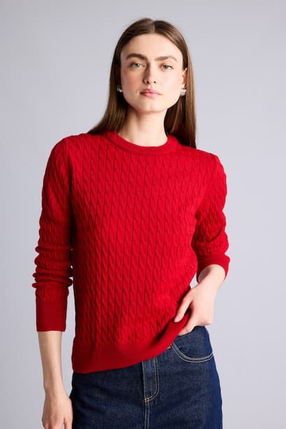 Regular Fit Red Crew Neck Sweater Pullover (٣)