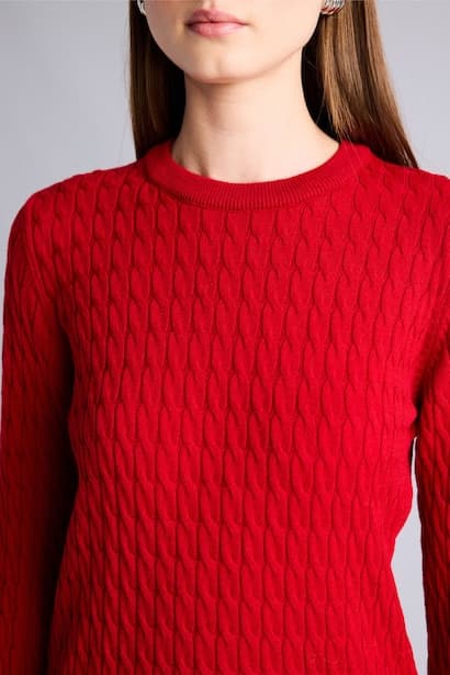 Regular Fit Red Crew Neck Sweater Pullover (٤)