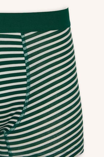Regular Fit 3-Pack Striped Boxers (4)